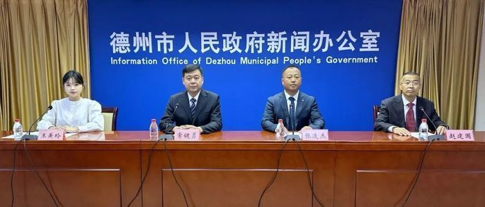 公司常务副, MpZCA