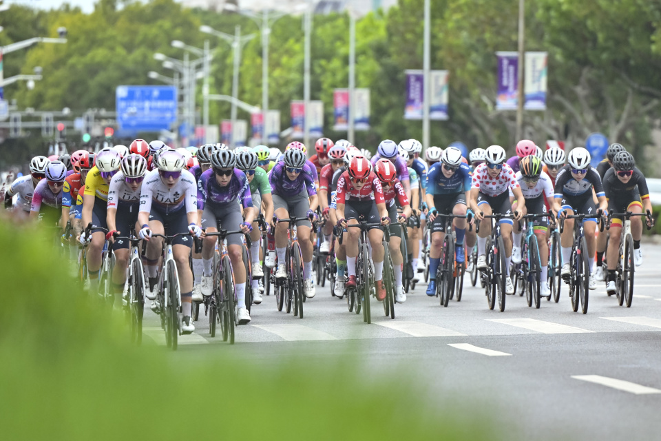 om, 队车手在颁, 队荷兰车手